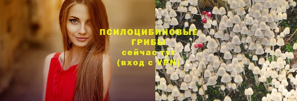 дурь Верхний Тагил